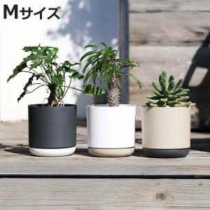 フラワーポット プランター 植木鉢 北欧風 おしゃれ ストライプ