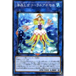 遊戯王オフィシャルカードゲーム デュエルモンスターズ 遊戯王カード