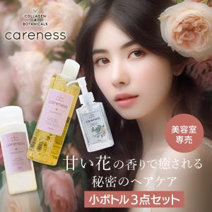 公式 ケアネス careness 美容室専売 シャンプー トリートメント 大