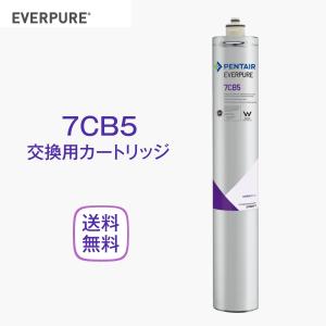 エバーピュア MC2 浄水器カートリッジ 業務用 : 厨房 キッチンプラス