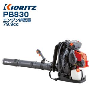 ZENOAH（ゼノア） エンジン式プロ向け背負いブロワ EBZ7500 排気量65.6