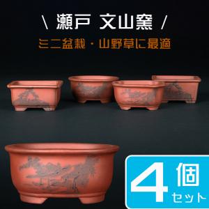 盆栽鉢 紫泥外縁木瓜式鉢 朱泥 植木鉢 中国鉢 泥鉢 陶器 6号 19cm