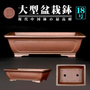 盆栽鉢 烏泥外縁下紐楕円鉢 植木鉢 中国鉢 張氏製陶 落款あり 15号