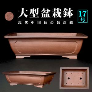 盆栽鉢 紫泥外縁隅切額面長方鉢 植木鉢 中国鉢 張氏製陶 落款あり 18号