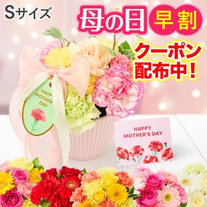 クリスマスローズ 吉田園芸 アンティークピエラ 0218-040 現品販売