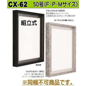 CX-62 組立式 30号 浮き出しタイプ オリジン アルフレーム出展用額縁