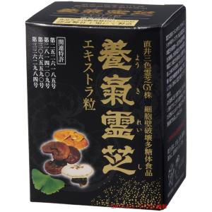 MENARD（メナード） 霊芝 100粒 : Current Style ヤフー店 - 通販