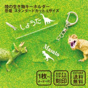 アクリル】星のお名前キーホルダー☆【セミオーダー】 : ファーニー