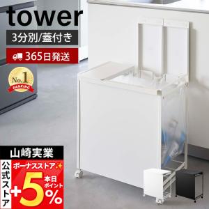 ダストカーゴ ダストワゴン(パネル付) ペール3個＋分別スペースタイプ