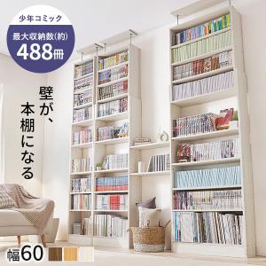 dinos（ディノス） たっぷり収納！スチールラック スタンド式 CD用 幅