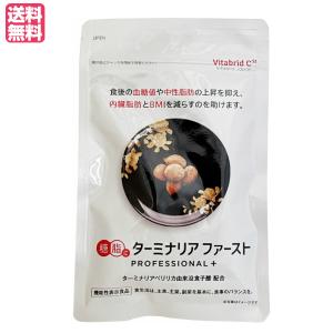 ○ターミナリアファースト プロフェッショナル4 タブレットタイプ 14