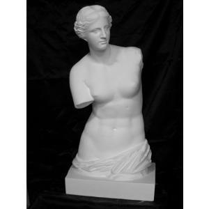 H−010 アムール半身像 : 石膏像ドットコム - 通販 - Yahoo