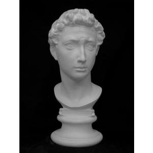 S−204 古代ヴィーナス首像（アバタのヴィーナス） : 石膏像ドット