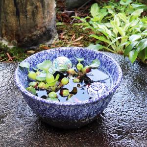 信楽焼 つくばい 竹付つくばい 金魚鉢 メダカ鉢 陶器 ツクバイ 蹲 手