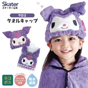 鉄道グッズ 寝台特急カシオペア デザイン タオルハンカチ : 鉄道グッズ