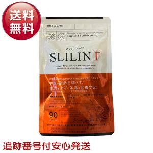 キラリズム 【 2袋セット 】 スリリン ファイア SLILIN F 22.5g