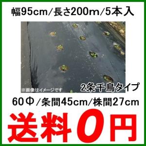 国産 穴あきマルチ 黒マルチ 有孔マルチ 幅95cm 長さ200m 株間300mm 孔