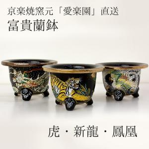 ◇京楽焼窯元「愛楽園」直送◇『万年青鉢（おもと鉢） 虎・新龍・鳳凰