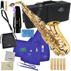 500円クーポン配布中】アルトサックス 初心者セット E Saxophone