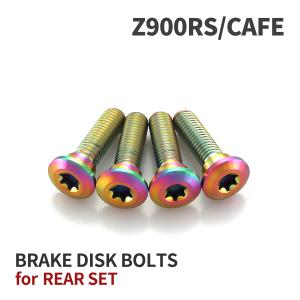 TECHーMASTER（テックマスター） Z900RS/CAFE 64チタン ブレーキ