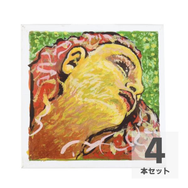 PIRASTRO ピラストロ Evah Pirazzi NEO ＃41B021 E線。A線、D線、G線 4