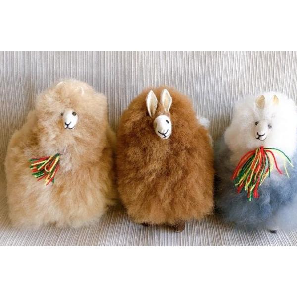 andeszakka_alp-pel-s