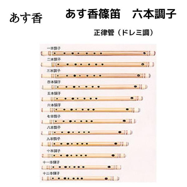 楽器 6本調子 篠笛」の人気商品一覧 | 安い商品を通販サイトから探す