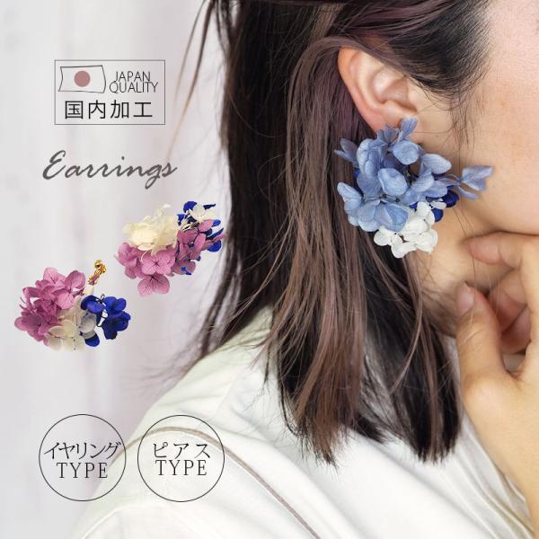 blaze-japan_pi-500045