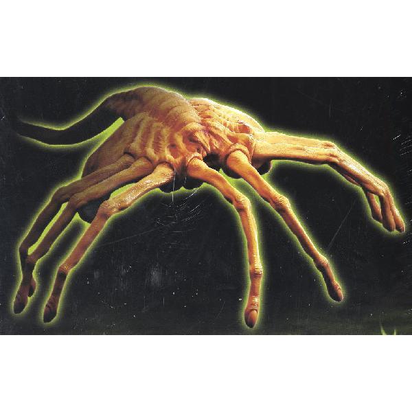 アオシマ(スカイネット)「エイリアン」1/1スケール“フェイスハガー