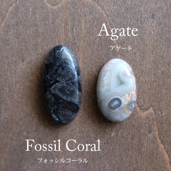 ブラックフォッシルコーラル （化石珊瑚）約24×12×5mm ・クレイジー