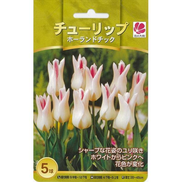 flower-net_z200702043