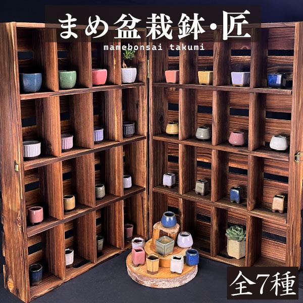 まめ盆栽鉢 匠 7種 （1箱4〜6個入り） ミニ鉢 豆鉢 おしゃれ 陶器 鉢