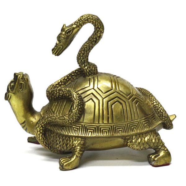 kaiunworld_cogenbu-135