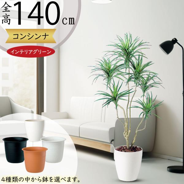 ドラセナ コンシンネ インテリアグリーン おしゃれ 人気 フェイク