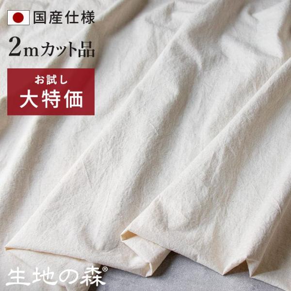 kijinomori_in50750-2m