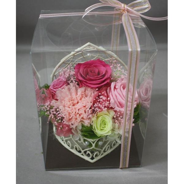 kyu-toyosi_hke-suha-topin