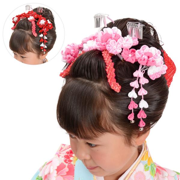 kyoto-miyabi_481-500x