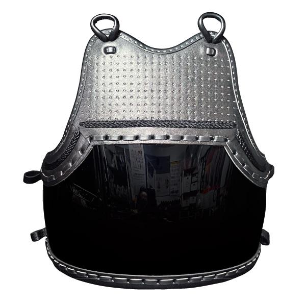 剣道胴 剣道防具 胴 日武 幼年用 胴単品 小胸付胸・1本足（適応身長