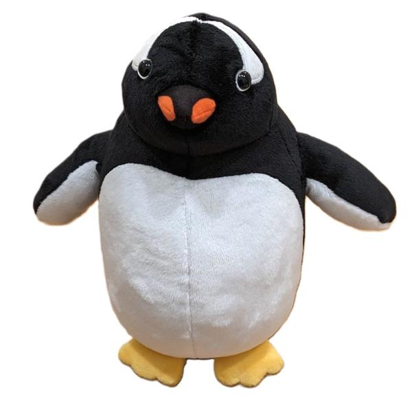 hondastore_collecta-2589