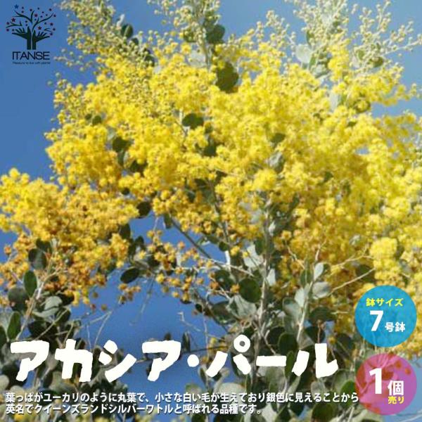 itempost_1-itanse-4254