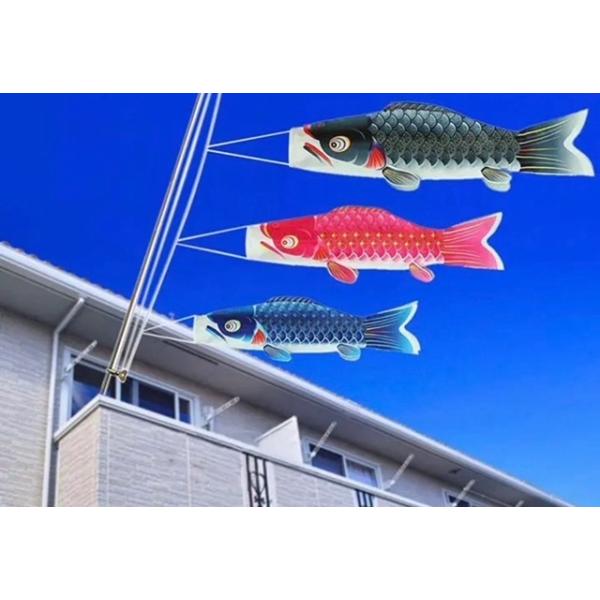 鯉【単品】【一匹のみ】約0.5m【鯉のぼり追加用】子供の日 : MAMASANI