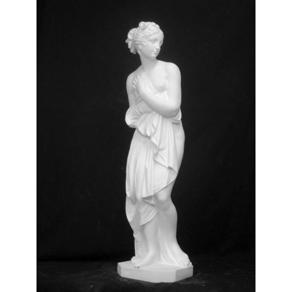 N−038 カノーヴァ作 ヴィーナス全身像 : 石膏像ドットコム - 通販