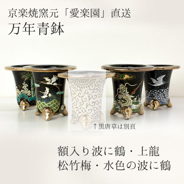 万年青 錦鉢」の人気商品一覧 | 安い商品を通販サイトから探す - 価格.com