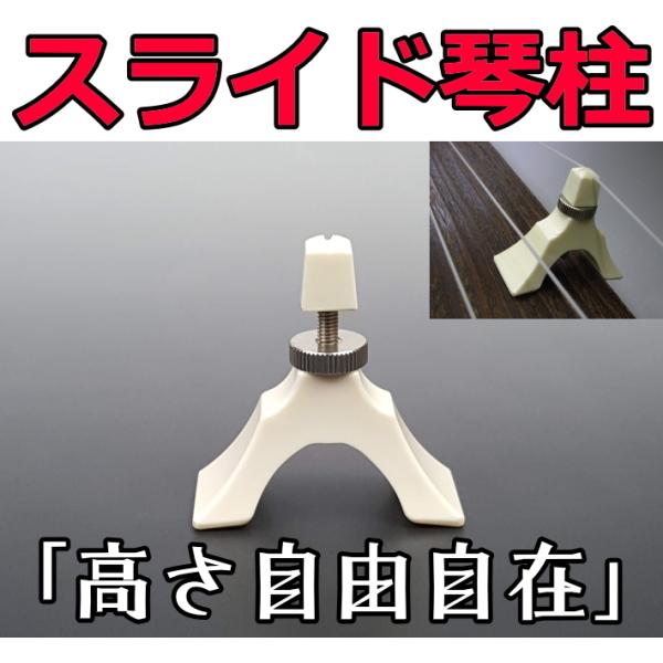 wagakki-ichiba_10000206