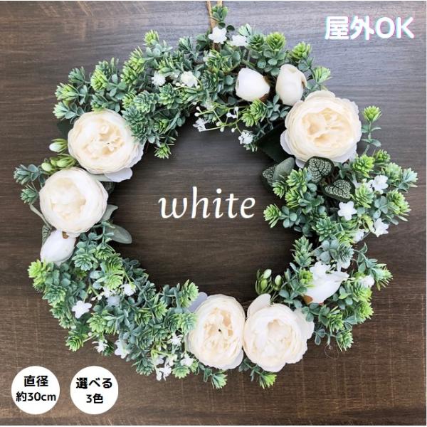 takara77_risu22073001