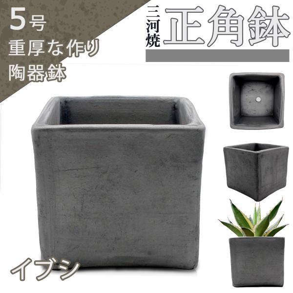 盆栽鉢 5号 正角鉢 イブシ 三河焼 燻し 四角 深型 山野草 観葉植物