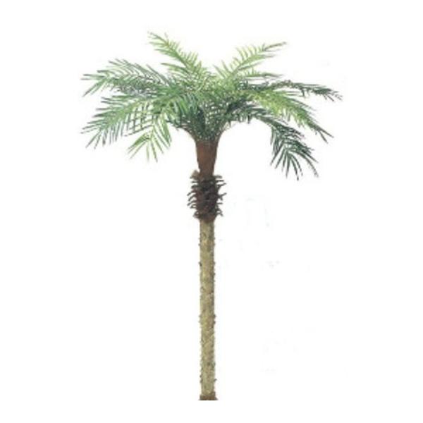 ヤシの木「フェニックスパームツリー」 人工観葉植物 全長210cm : 上田
