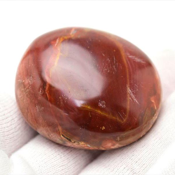 ペトリファイドウッド 珪化木 パームストーン 握り石 (約76.9g