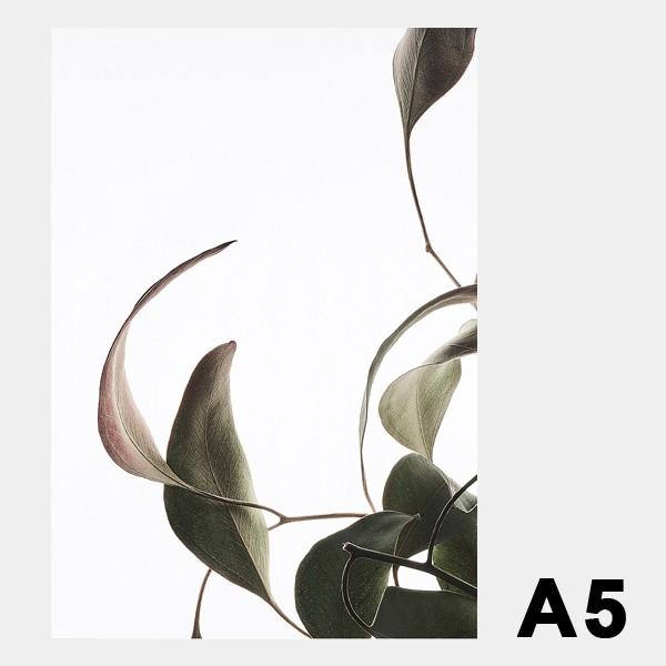 Paper Collective（ペーパーコレクティブ） ポスター アートポスター