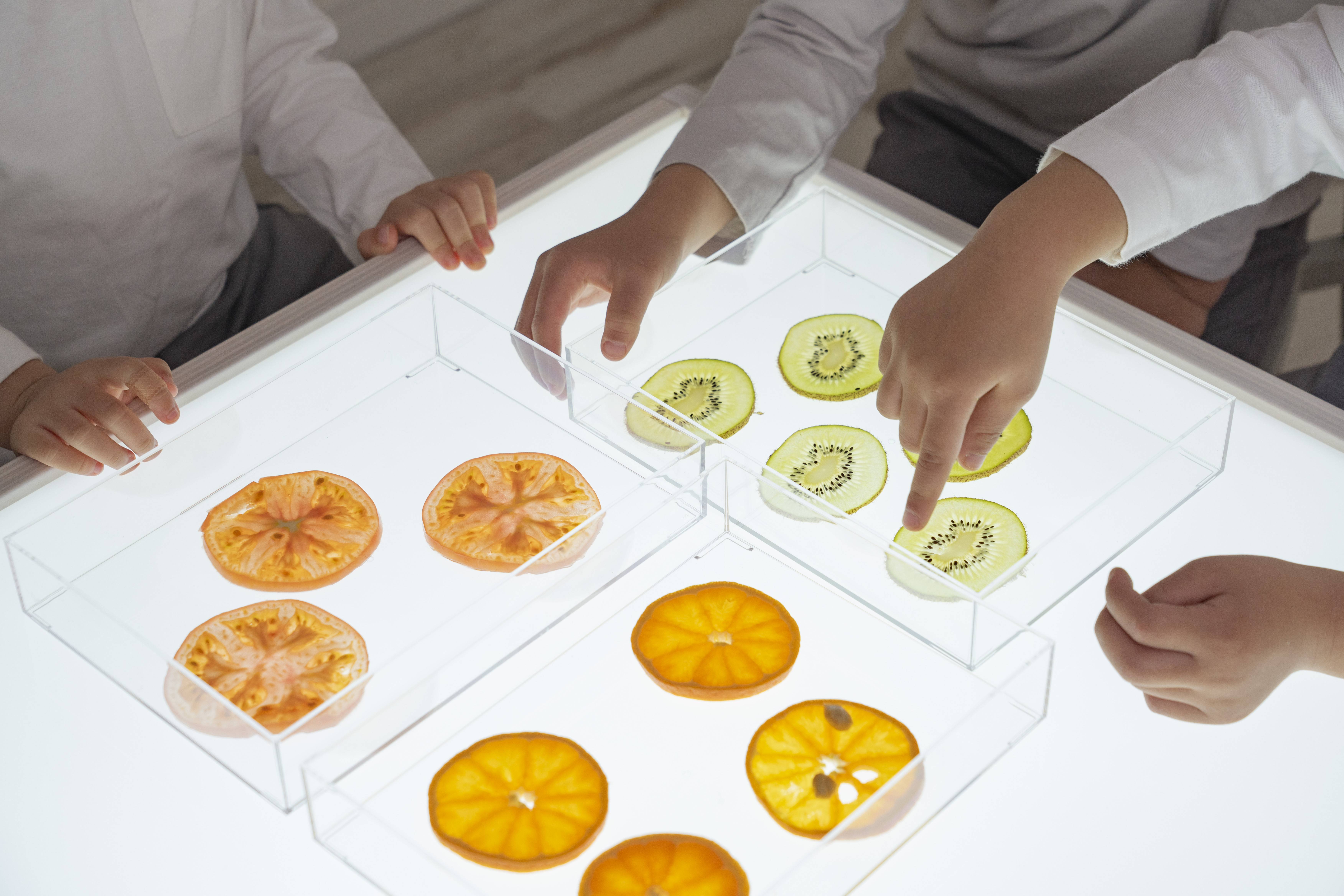 HIKARI to Table｜検索結果｜事業者向け｜JAKUETS.NET